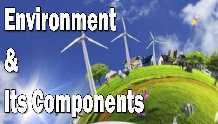 Environment and its components