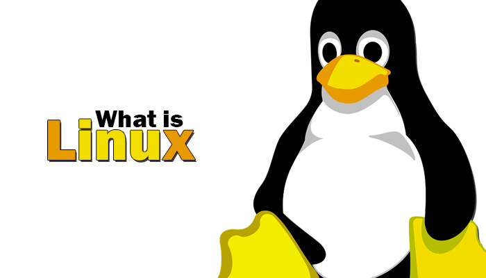 What is Linux