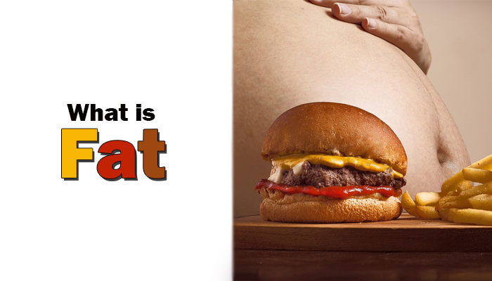 Fats Know Everything In Details Types Benefits Sources InfoSeeMedia